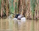 20150913-seaw-0443