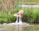 20150913-seaw-0487