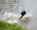 20150913-seaw-0504