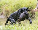 20150913-seaw-0535