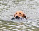 20150913-seaw-0612