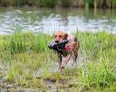 20150913-seaw-0645