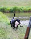 20150913-seaw-0667