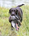 20150913-seaw-0758