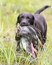 20150913-seaw-0762
