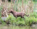 20150913-seaw-0788