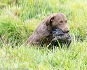 20150913-seaw-0796