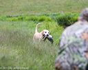 20150913-seaw-0823