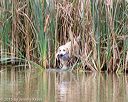 20150913-seaw-0835