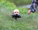 20150913-seaw-0882