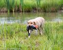 20150913-seaw-0901
