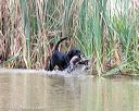 20150913-seaw-0928