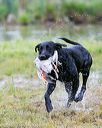20150913-seaw-0997