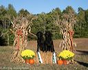 20151010-p-0287