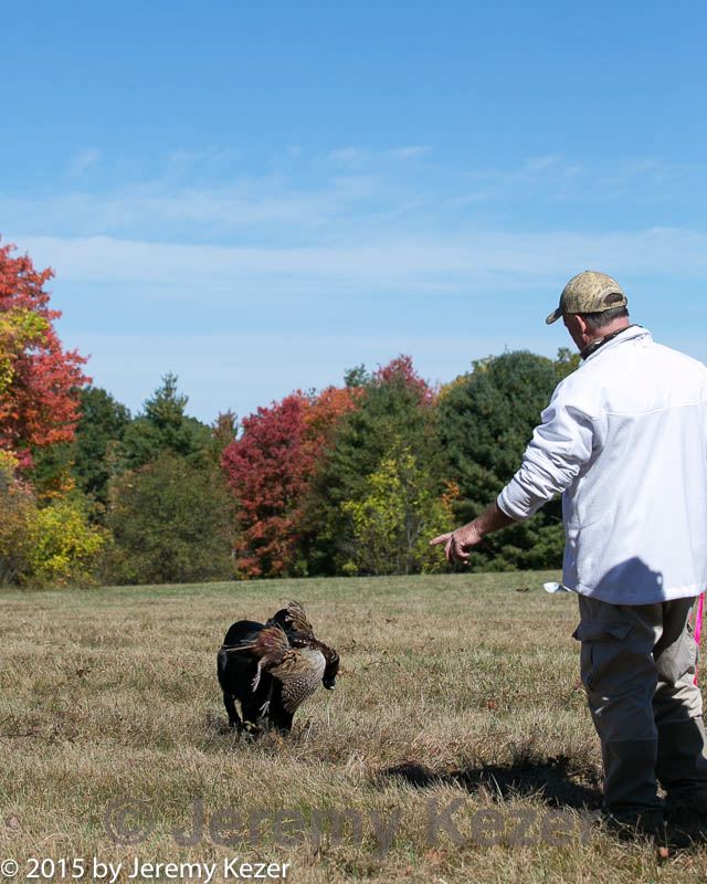 20151010-wcl-0034.jpg
