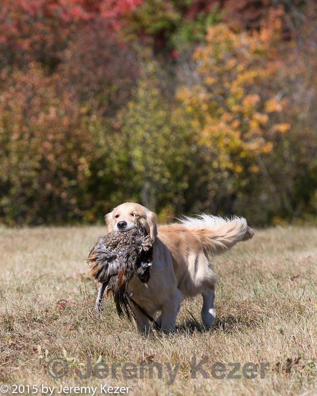 20151010-wcl-0069.jpg