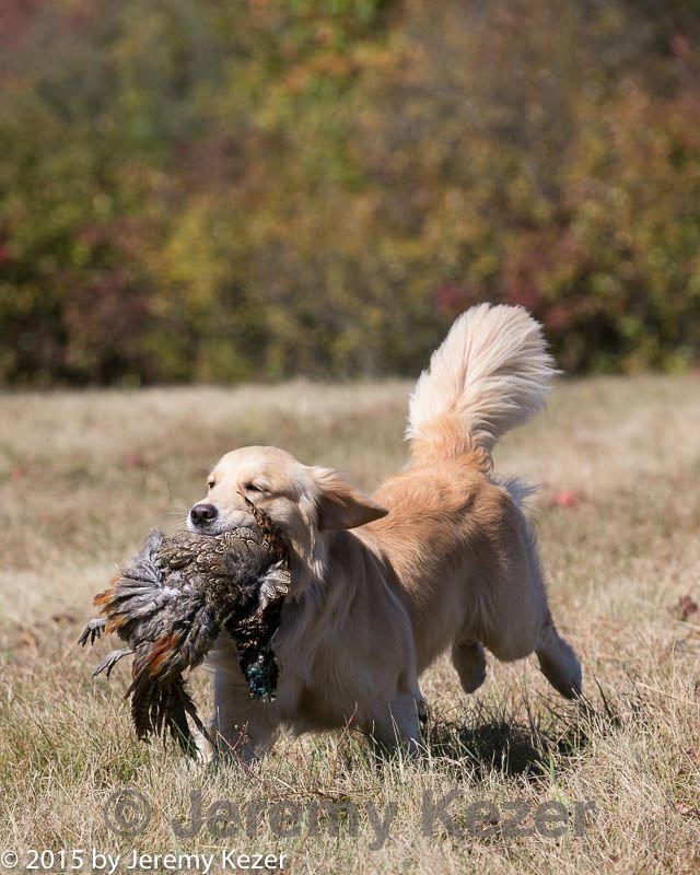 20151010-wcl-0074.jpg