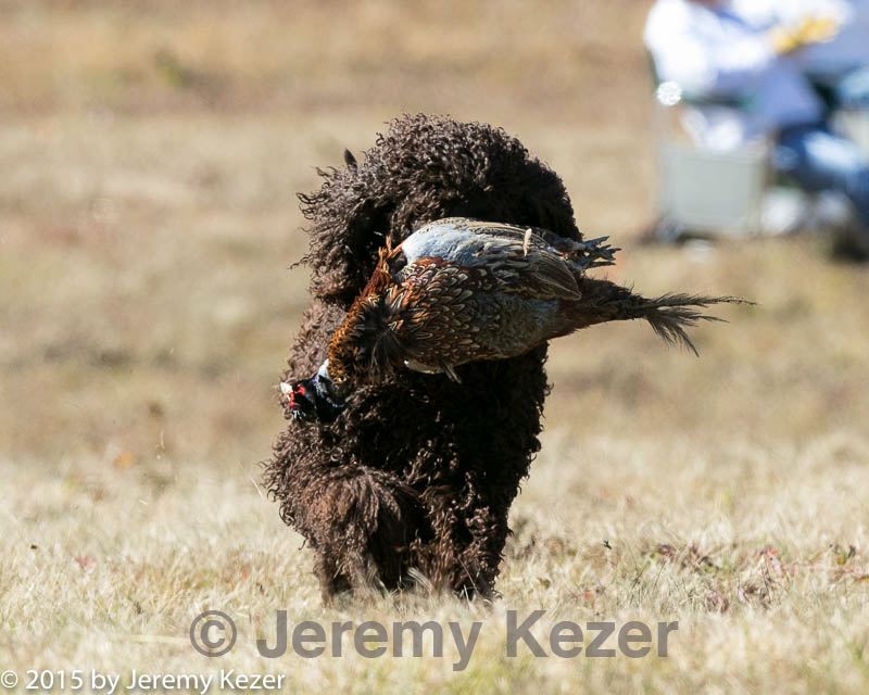 20151010-wcl-0115.jpg