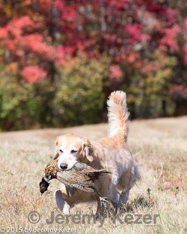 20151010-wcl-0180.jpg