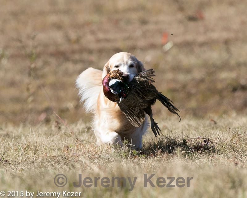 20151010-wcl-0196.jpg