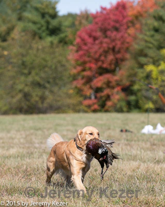 20151010-wcl-0231.jpg