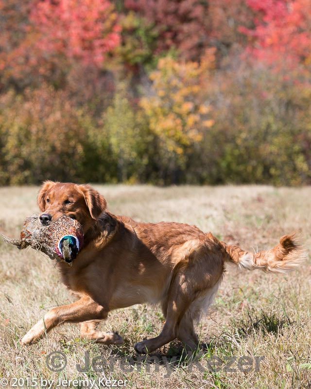 20151010-wcl-0274.jpg