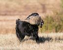 20151010-wcxl-0012