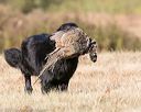 20151010-wcxl-0016