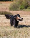 20151010-wcxl-0043