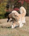 20151010-wcxl-0061