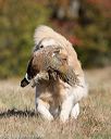 20151010-wcxl-0064