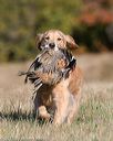 20151010-wcxl-0088