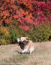 20151010-wcxl-0186