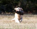 20151010-wcxl-0192