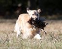 20151010-wcxl-0195