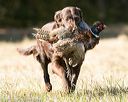 20151010-wcxl-0364