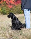 20151010-wcxl-0399