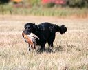 20151010-wcxl-0437