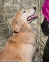 20151010-wcxl-0494