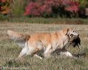 20151010-wcxl-0527