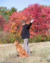 20151010-wcxl-0563