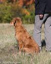 20151010-wcxl-0564