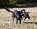 20151010-wcxl-0625