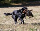20151010-wcxl-0626