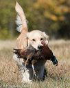 20151010-wcxl-0640