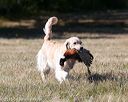 20151010-wcxl-0652