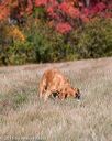 20151010-wcxl-0663
