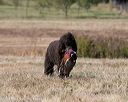 20151010-wcxl-0715
