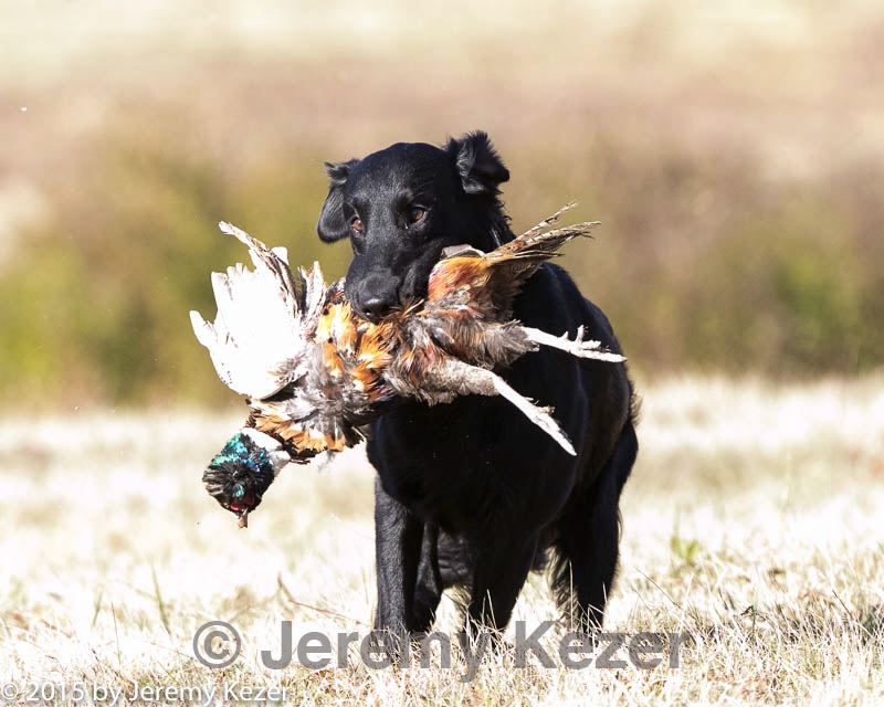 20151010-wcxl-0229.jpg