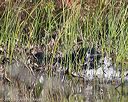 20151010-wcxw-0071